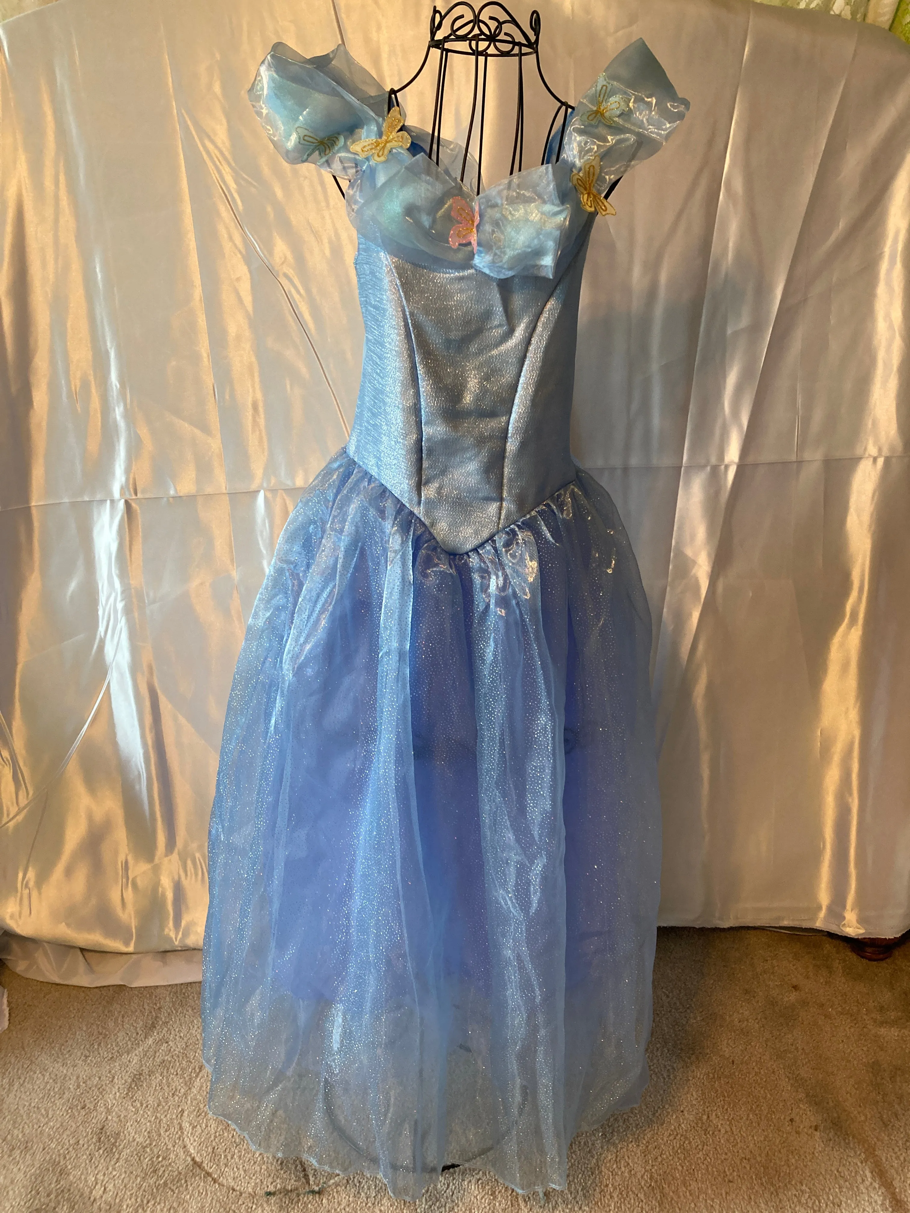 Cinderella Deluxe Costume, Large - Size 10-12