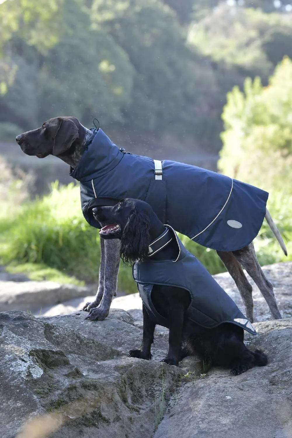 WeatherBeeta Dog Coat Medium Explorer